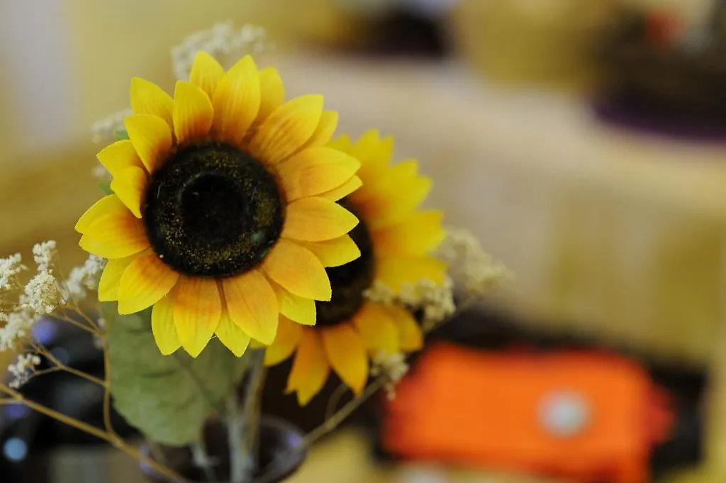 La Casa Romana Bed & Breakfast Rome